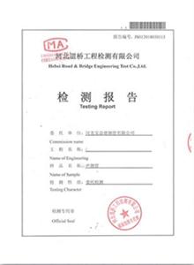 湖南公司检测报告